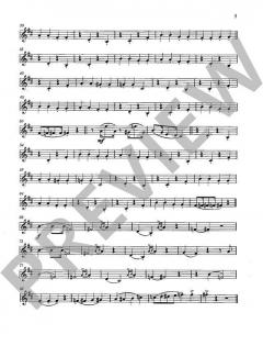 Dampflok-Story von Reimund Hess 