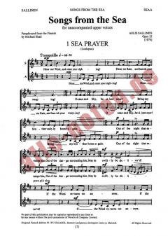 Songs From The Sea Op. 33 von Aulis Sallinen 
