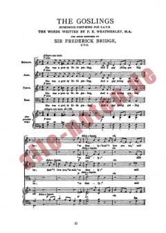 The Goslings von Frederick Bridge 