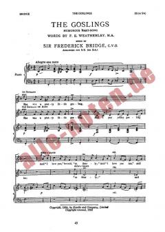 The Goslings von Frederick Bridge 