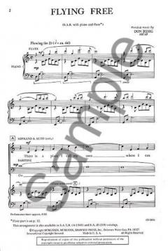 Flying Free (Don Besig) 