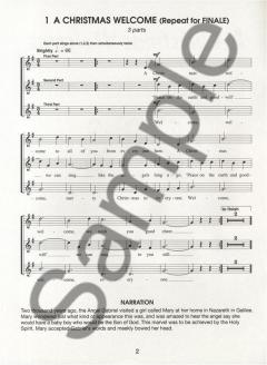 A Christmas Welcome von Jan Holdstock 