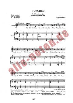 Torches! von John Joubert 