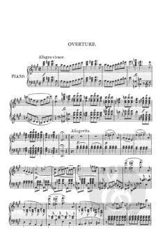 Die Fledermaus von Johann Strauss (Vater) 