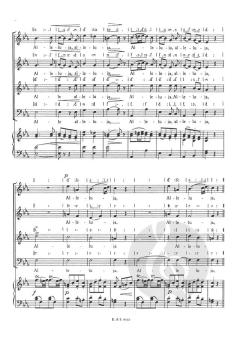 Alleluja (W.A. Mozart) 