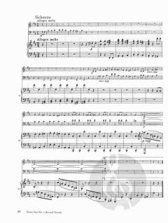 Complete Piano Trios (Johannes Brahms) 