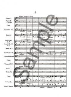 Symphonies Nos. 8 and 9 ('New World) von Antonín Dvorák 