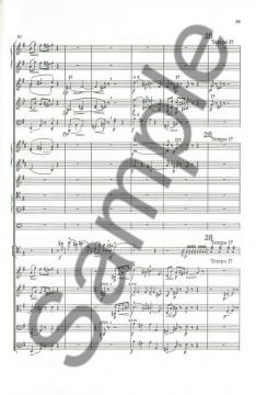 Cello Concerto Miniature Score von Edward Elgar 