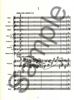 Piano Concerto von Edvard Grieg 