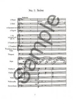 Swan Lake and the Sleeping Beauty von Pjotr Iljitsch Tschaikowski 