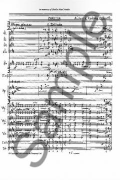 Partita for Orchestra von Richard Rodney Bennett im Alle Noten Shop kaufen