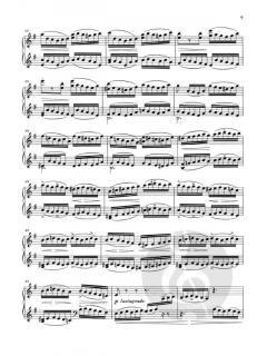 Die Moldau von Bedrich Smetana 