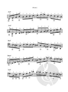 Linear Expressions von Pat Martino 