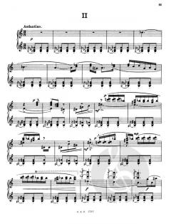 Sonate Nr. 5 op. 38 von Sergei Sergejewitsch Prokofjew 