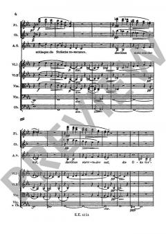 Rhapsodie op. 53 von Johannes Brahms für Alt, Männerchor und Orchester im Alle Noten Shop kaufen