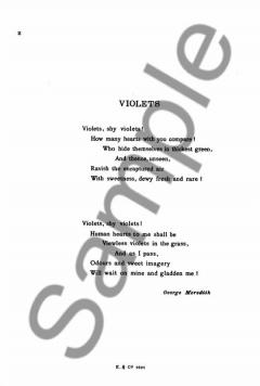 Violets von Muriel Herbert 