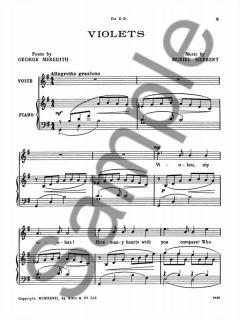 Violets von Muriel Herbert 