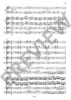 Konzert Nr. 5 D-Dur mit Rondo D-Dur von Wolfgang Amadeus Mozart 