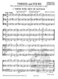 Threes And Fours von Sheila M. Nelson 