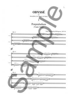 Blaes Pa Odysseus (Pelle Gudmundsen-Holmgreen) 