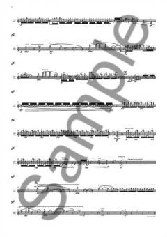 Witness to A Snow Miracle von Simon Holt 