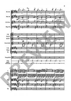 Slawische Tänze op. 72/1-4 B 147 von Antonín Dvorák 