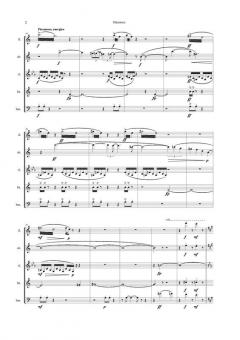 Miniature, Kopi (Niels Rosing-Schow) 