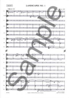 Landscapes No. 1 (Ole Buck) 