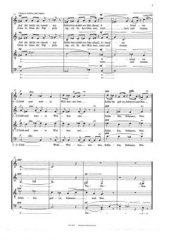 Abendlied Und Marchenfarben (Score) (Per Norgard) 