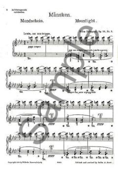 Mansken von Selim Palmgren 