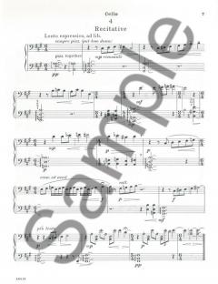 Divertimento Concertante von Paul Ramsier 