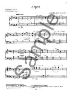 Jean Sibelius: the Aspen 