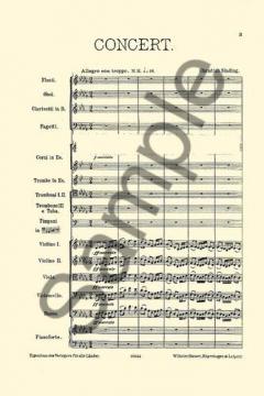 Piano Concerto Op. 6 von Christian Sinding 