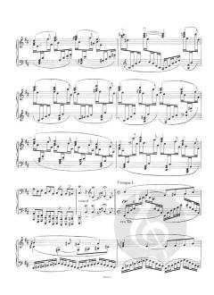 Piano Sonata in B Minor Op. 91 von Christian Sinding 