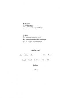 Shadowland Chamber (Bent Sorensen) 