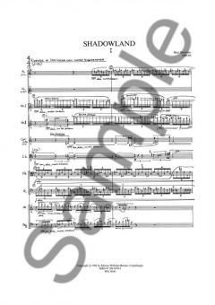 Shadowland Chamber (Bent Sorensen) 