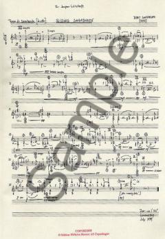 Sliding Sarabande von Bent Sorensen 