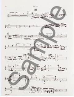 Violin Concerto von Carlos Surinach im Alle Noten Shop kaufen