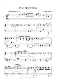 Swan Descending von Per Norgard 