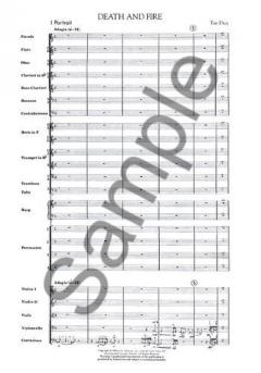 Death and Fire von Tan Dun 