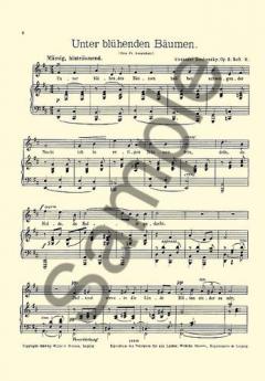 Lieder Op.5 Book 2 von Alexander von Zemlinsky 