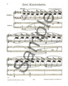 Andante Op. 41 No. 1 von Christian Sinding für 2 Klaviere im Alle Noten Shop kaufen