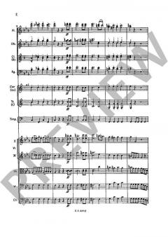 Sinfonie Nr. 1 c-Moll op. 11 von Felix Mendelssohn Bartholdy 