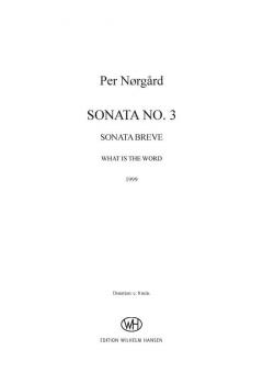 What Is The Word, Kopi von Per Norgard 