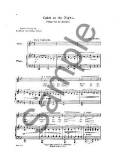 Calm As The Night von Carl Bohm 