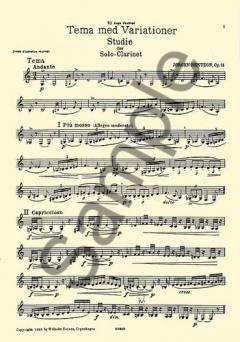 Theme And Variations For Solo Clarinet Op.14 von Jorgen Bentzon 