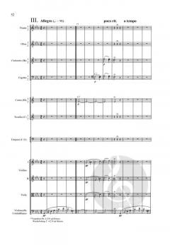 Sinfonie Nr. 5 c-Moll op. 67 von Ludwig van Beethoven 