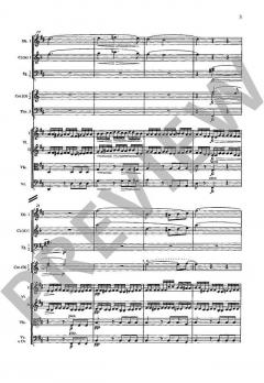 Sinfonie Nr. 8 h-Moll D 759 von Wilhelm Altmann 