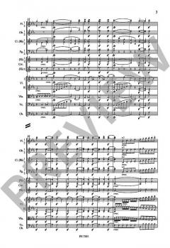 Sinfonie Nr. 3 Es-Dur op. 55 von Ludwig van Beethoven 