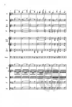 Sinfonie Nr. 3 Es-Dur op. 97 von Robert Schumann 